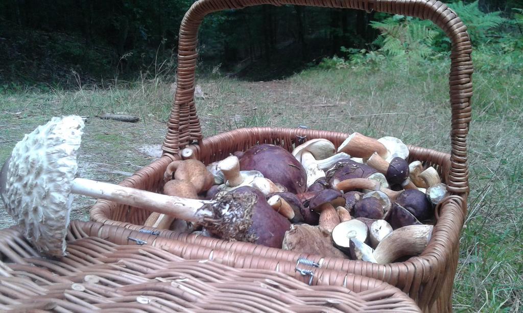 Wiejska Chata Szwalk Kültér fotó