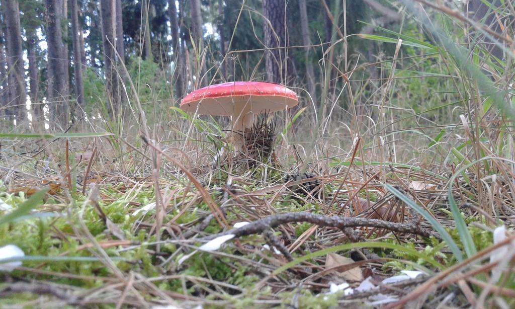 Wiejska Chata Szwalk Kültér fotó